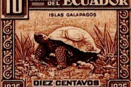 Ecuador 1936 feature image
