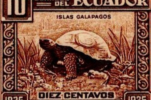 Ecuador 1936 feature image
