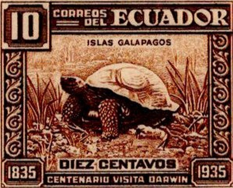 Ecuador 1936 feature image