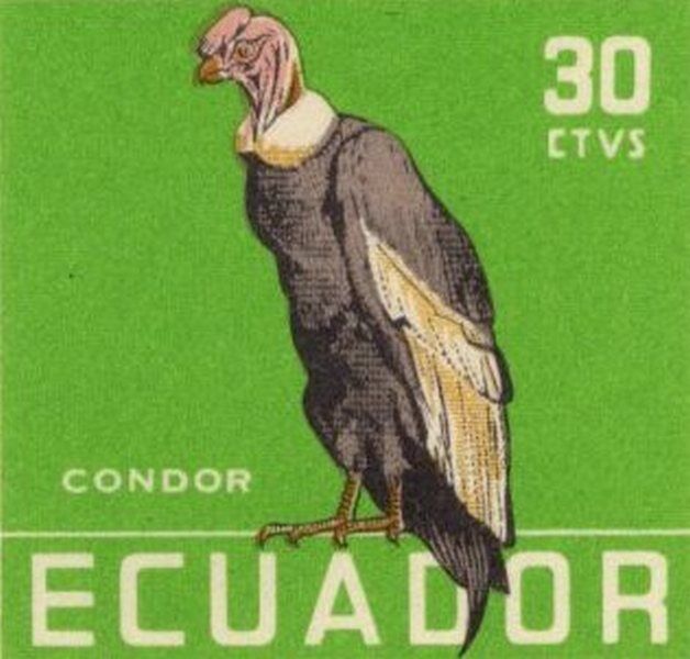 Ecuador 1958 feature image