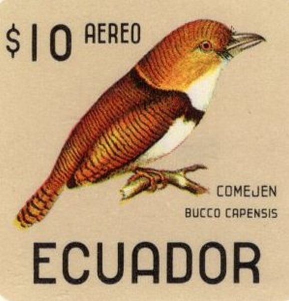 Ecuador 1966 feature image birds