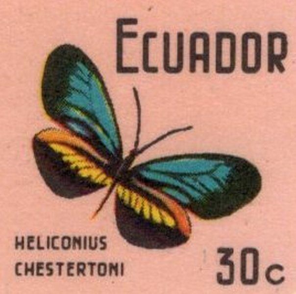 Ecuador 1970 feature image