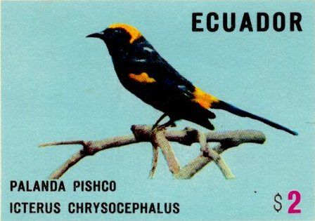 Ecuador 1973 feature image 2