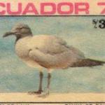 1976 Fauna de Galapagos
