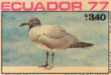 Ecuador 1977 feature image 2