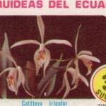 1980 Orquideas del Ecuador