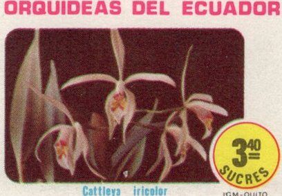 1980 Orquideas del Ecuador