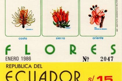Ecuador 1986 feature image