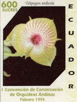 Ecuador 1994 feature image