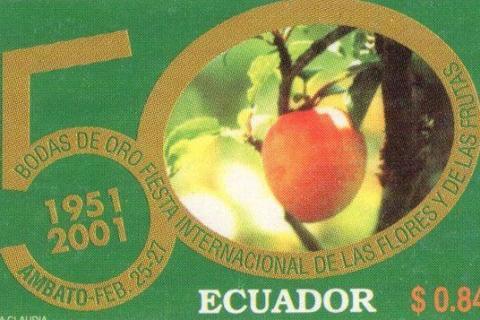 Ecuador 2000 feature image 5