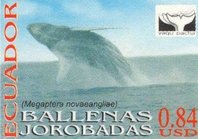 2000 Ballenas Jorobadas