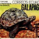 1992 Galápagos