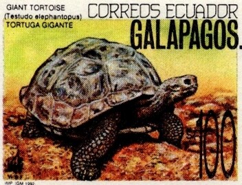 1992 Galápagos