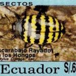 1993 Insectos