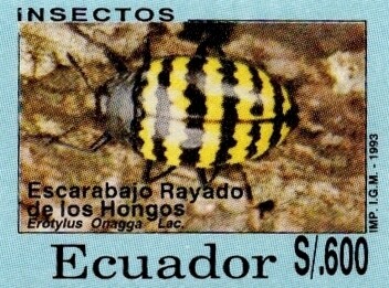 1993 Insectos