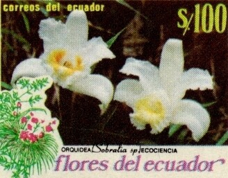 1990 Flores del Ecuador