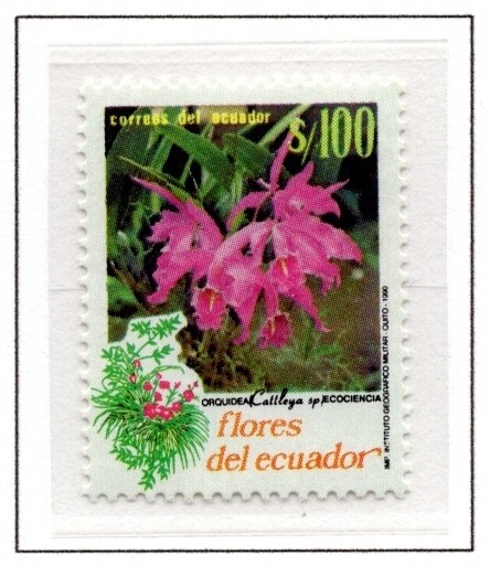 Ecuador 1990 Scott #1256