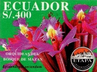 1997 Orquideas del Bosque Mazan