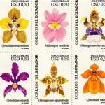 2006 Orquídeas