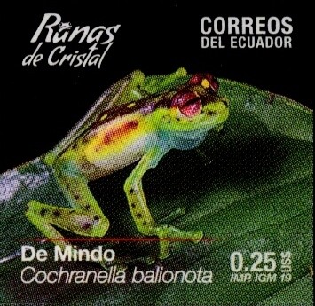 2019 Ranas de Cristal