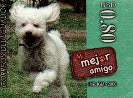 2006 Mi Mejor Amigo