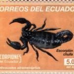 2014 Escorpiornes del Ecuador