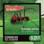 2017 Hormigas del Ecuador