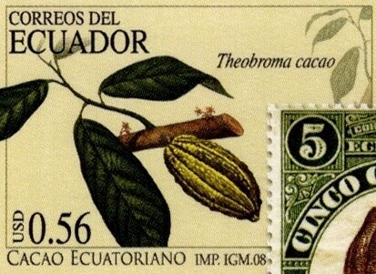 2008 Cacao Ecuatoriano