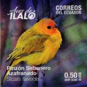 2019 Aves de Ilaló