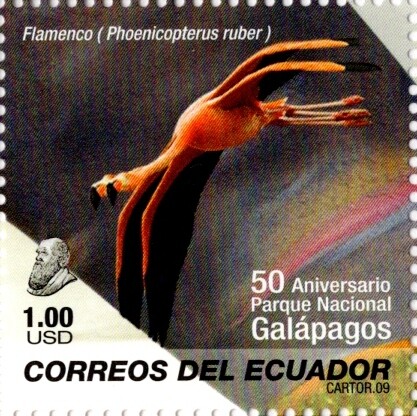 Ecuador 2009 scott1982a