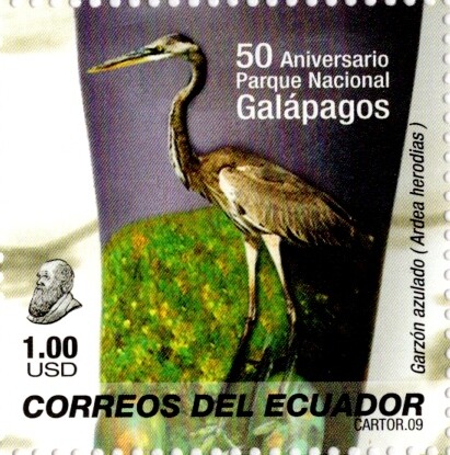 Ecuador 2009 scott1982b