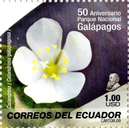 Ecuador 2009 scott1982c