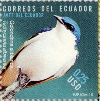 Ecuador 2010 scott2003b