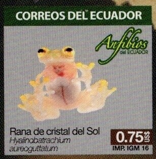 2016 Anfibios del Ecuador