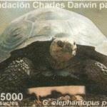 1999 Fundación Charles Darwin para Las Islas Galápagos