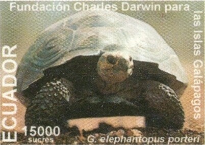 1999 Fundación Charles Darwin para Las Islas Galápagos