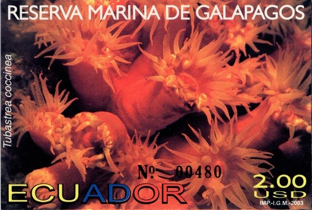 2003 Reserva Marina de Galápagos
