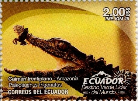 Ecuador 2018 Scott2220d