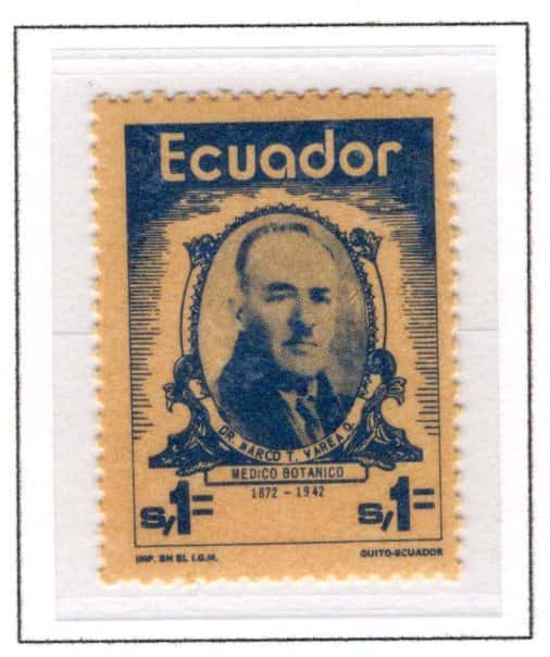 Ecuador 1974 Scott883