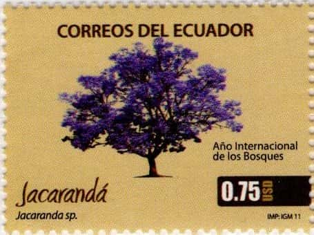 2011 Año Internacional de los Bosques