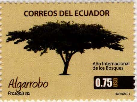 Ecuador 2011 Scott2026b