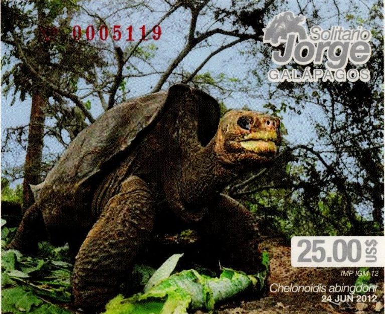 2012 Solitario Jorge – Galapagos
