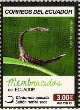 Ecuador 2015 Scott2145c