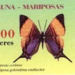 1997 Fauna Mariposas