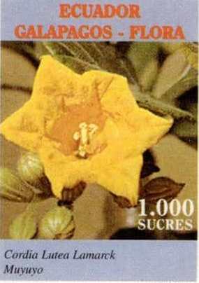1998 Galápagos Flora