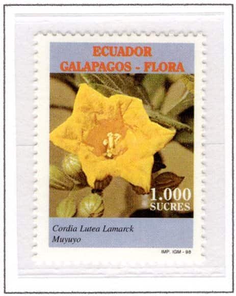 Ecuador 1998 Scott#1462