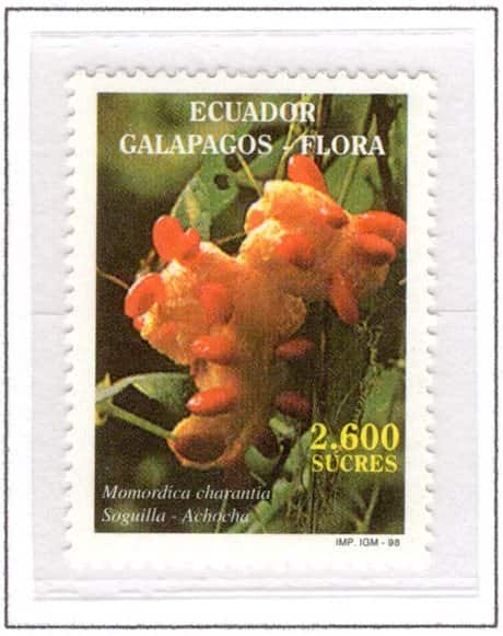 Ecuador 1998 Scott#1463