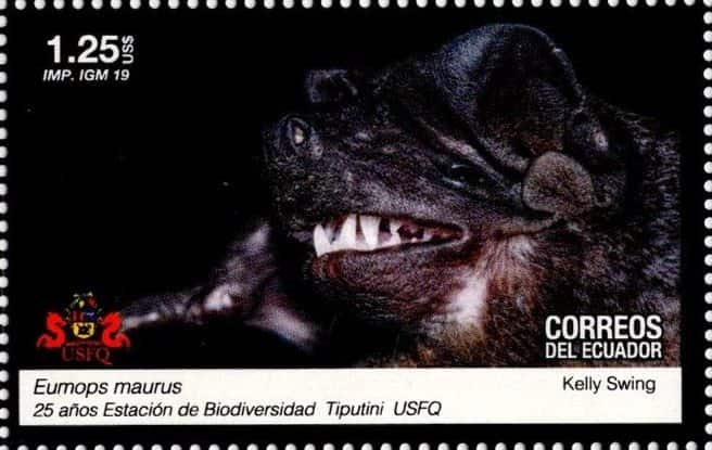 2019 25 Años Estación de Biodiversidad Tiputini